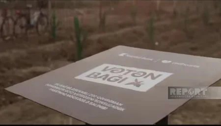Biləsuvarda şəhidlərin xatirəsi üçün salınmış Vətən bağında təmir işləri aparılır