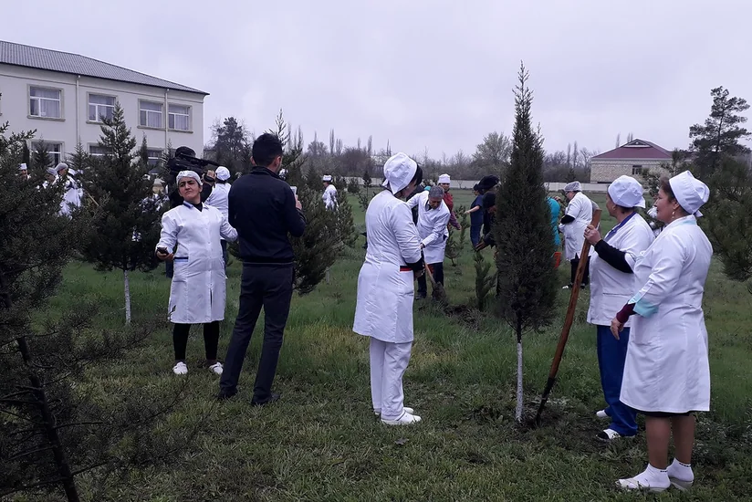 Kürdəmirdə ağacəkmə aksiyası keçirilib