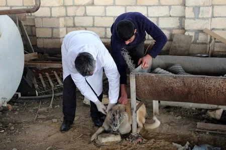 Biləsuvarda profilaktik tədbirlər davam etdirilir
