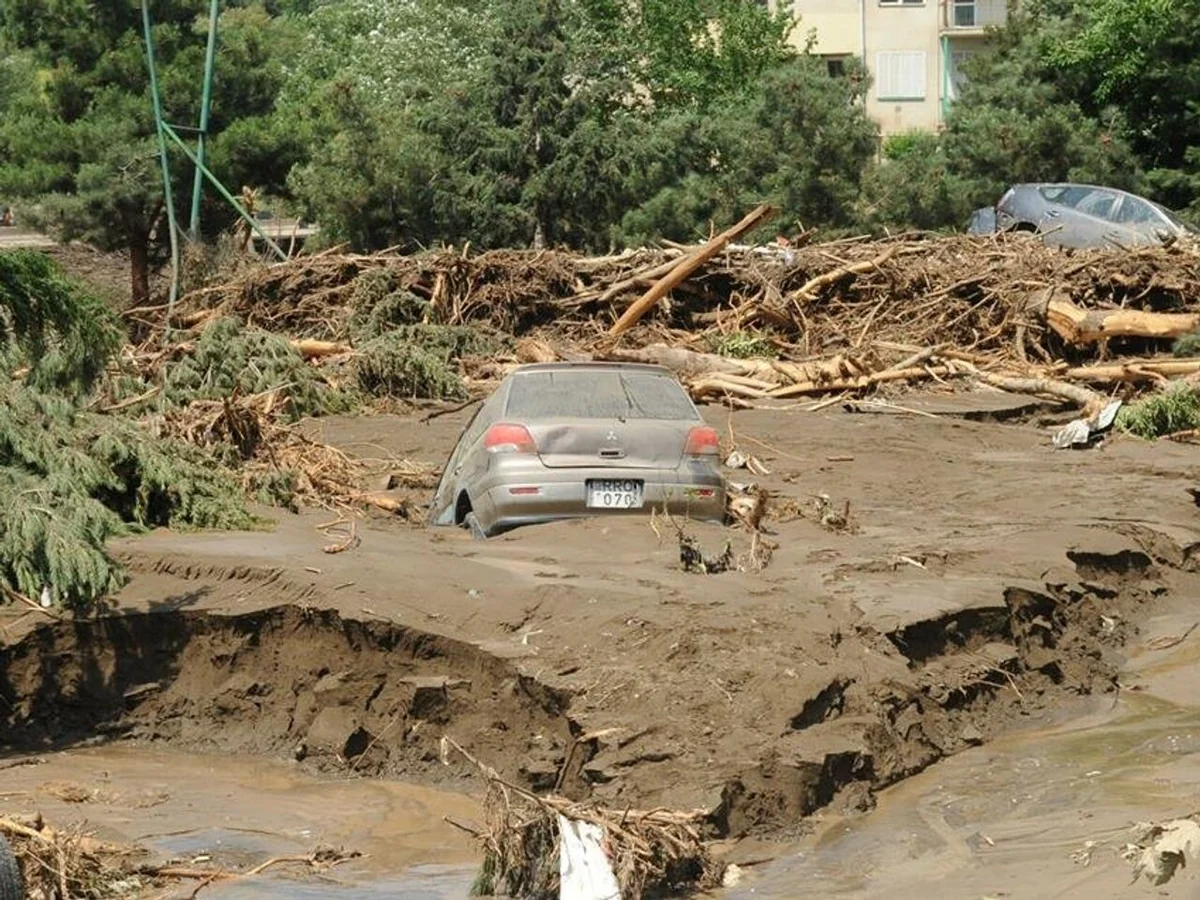 Ущерб из-за стихийного бедствия в Грузии может превысить десятки миллионов лари