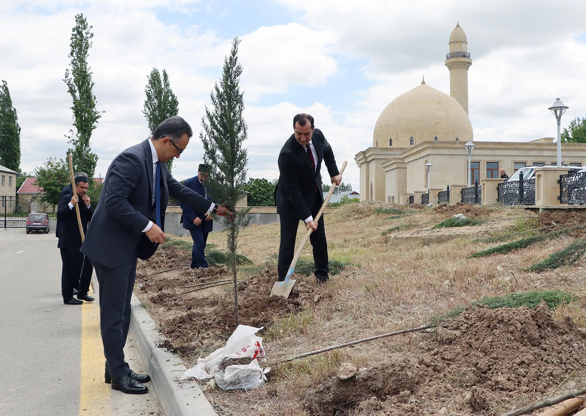Dini komitə ibadət yerlərində ağacəkmə aksiyası keçirib