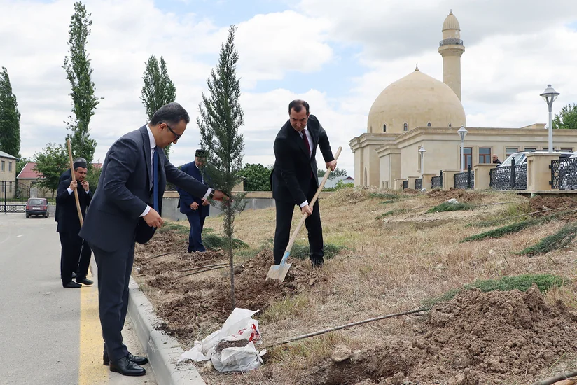 Dini komitə ibadət yerlərində ağacəkmə aksiyası keçirib