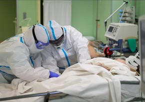 В России зарегистрировали максимум смертей от COVID-19 за сутки
