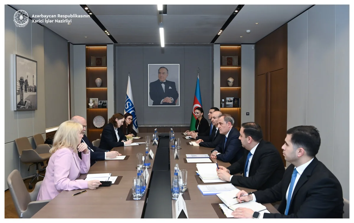 Jeyhun Bayramov and Feridun Sinirlioglu hold expanded meeting