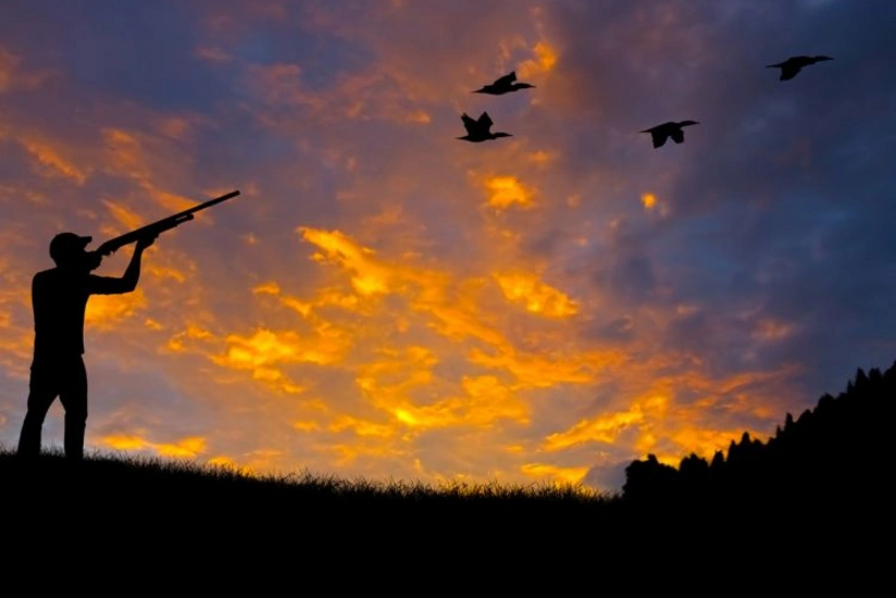 Şabranda qanunsuz ov edən şəxslər saxlanılıblar