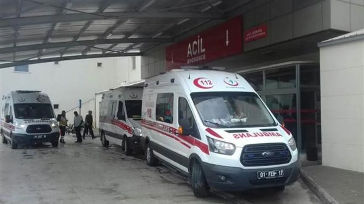A bus with schoolchildren turns over in Turkey, 15 wounded