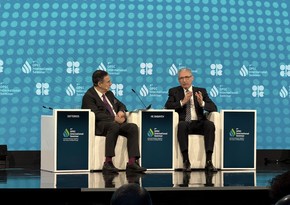 Muxtar Babayevlə COP30-un prezidentliyə namizədi OPEC-in seminarında müzakirələr aparıblar