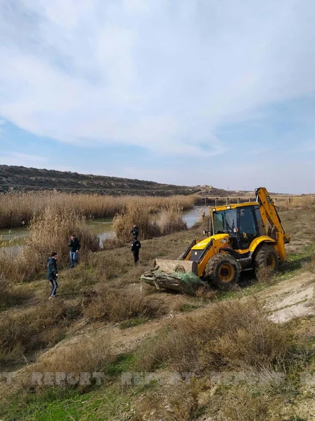 Salyanda qanunsuz balıq ovlayanlara qarşı reyd keçirilib - YENİLƏNİB