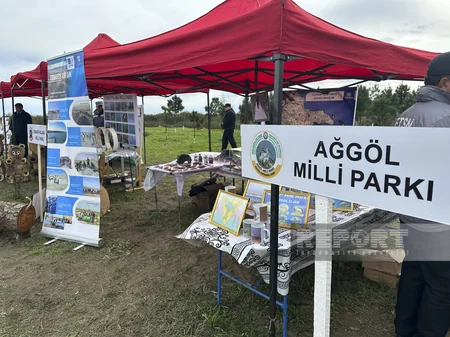 Qızılağac Milli Parkında Flaminqo Festivalı keçirilib - YENİLƏNİB