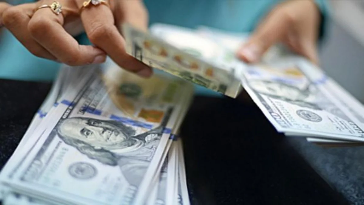 Bakıda mənzildən 1 000 avro və 400 dollar oğurlayan şəxs tutulub