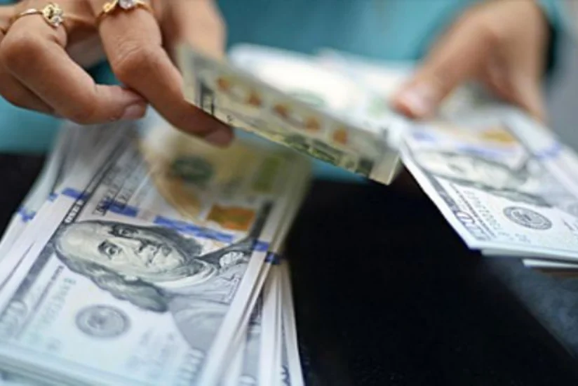 Bakıda mənzildən 1 000 avro və 400 dollar oğurlayan şəxs tutulub
