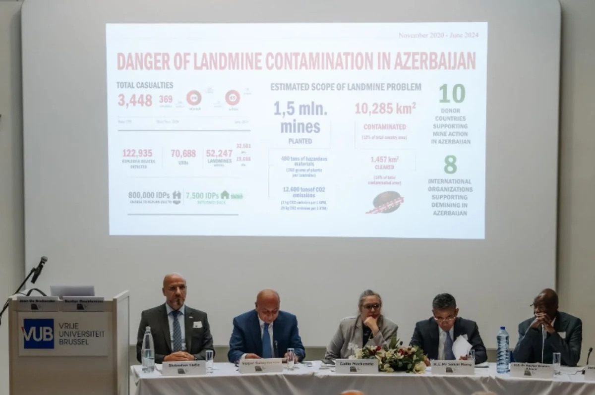 UNDP, Azerbaijan’s Mission to EU discuss mine action