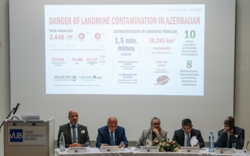 Директор офиса ПРООН: Обсудили с представительством Азербайджана при ЕС противоминную деятельность