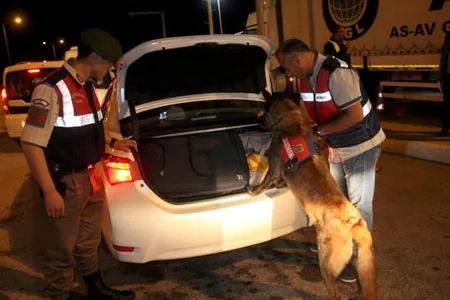 “Hüzur Türkiyə” əməliyyatı nəticəsində 7855 nəfər tutulub