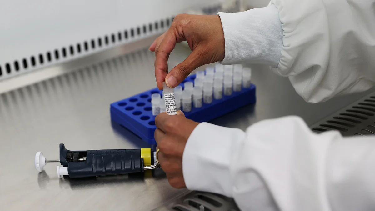 CAR İnstitutu: Metapnevmovirus insanlar üçün böyük təhlükə təşkil etmir