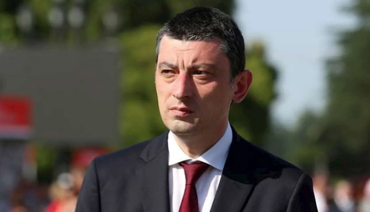 Giorgi Qaxaria: “Gürcüstan regionda təhlükəsizlik üzrə səmərəli müttəfiq ola bilər”