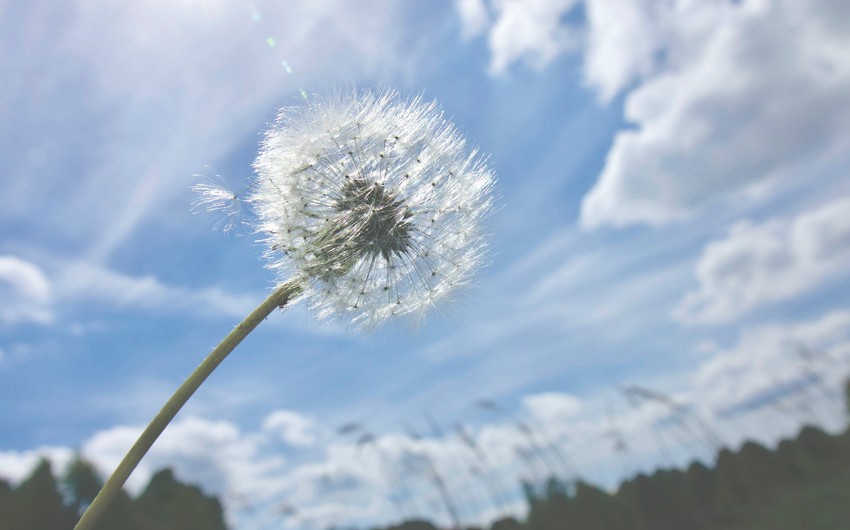 Weather forecast for July 6 