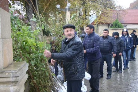 Respublika üzrə ümumilikdə 120 minə yaxın pulsuz ağac tingi paylanılıb