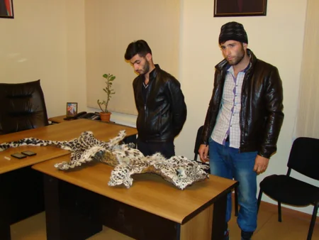 ​IDEA adı Qırmızı Kitaba düşən bəbirin öldürülməsi ilə bağlı bəyanat yayıb