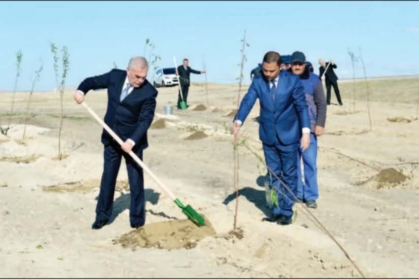 Naxçıvanda yeni meyvə bağları salınıb