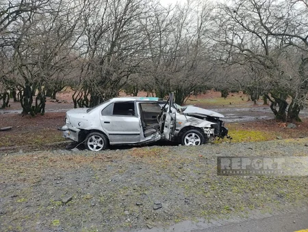Qaxda minik avtomobili ağaca çırpılıb, iki qardaş xəsarət alıb