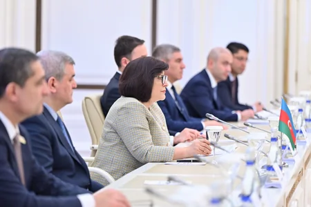 Sahibə Qafarova Almaniya Bundestaqının nümayəndə heyəti ilə görüşüb