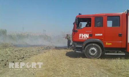 Şabranda biçilmiş əkin sahələrində baş vermiş yanğın söndürülüb - YENİLƏNİB - VİDEO