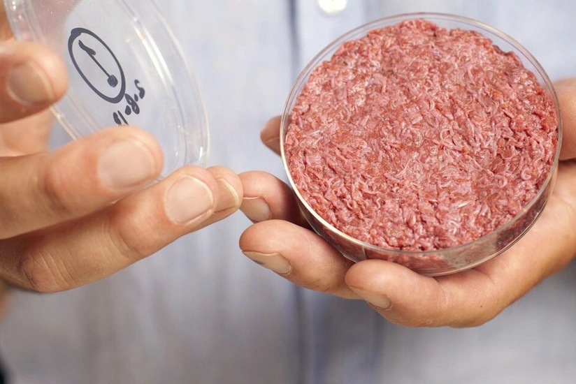 Scientists: Meat, milk to become artificial in future
