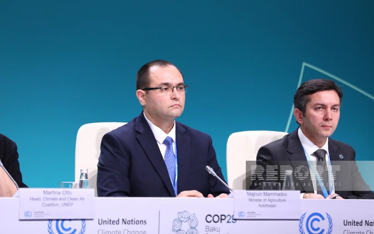 Məcnun Məmmədov: Harmoniya Təşəbbüsü kənd təsərrüfatında mühüm problemlərin həllinə yönəlib