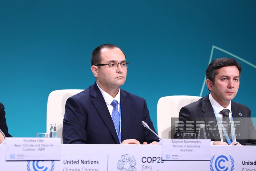 Məcnun Məmmədov: Harmoniya Təşəbbüsü kənd təsərrüfatında mühüm problemlərin həllinə yönəlib