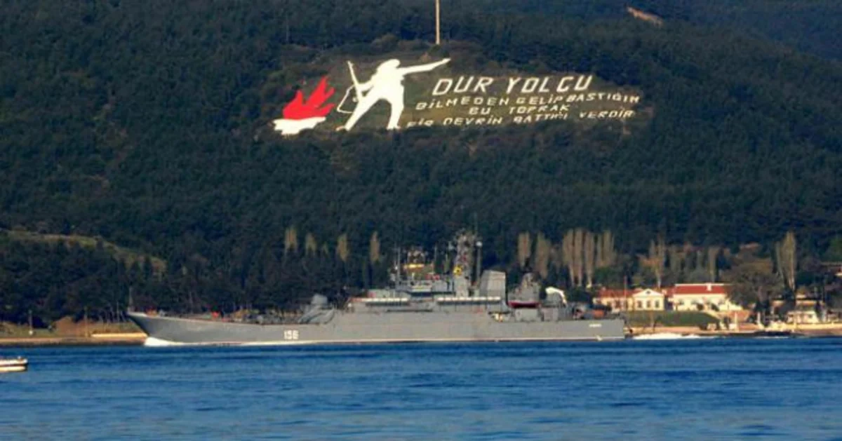 ​Турция разрешила десантному кораблю российского ВМФ пройти пролив Дарданеллы