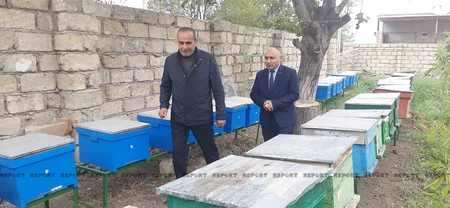 Qazi və şəhid ailələri üçün yaradılan təsərrüfatlara media-tur təşkil edilib