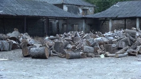 Meşələri məhv edənlərə qarşı əməliyyat keçirildi