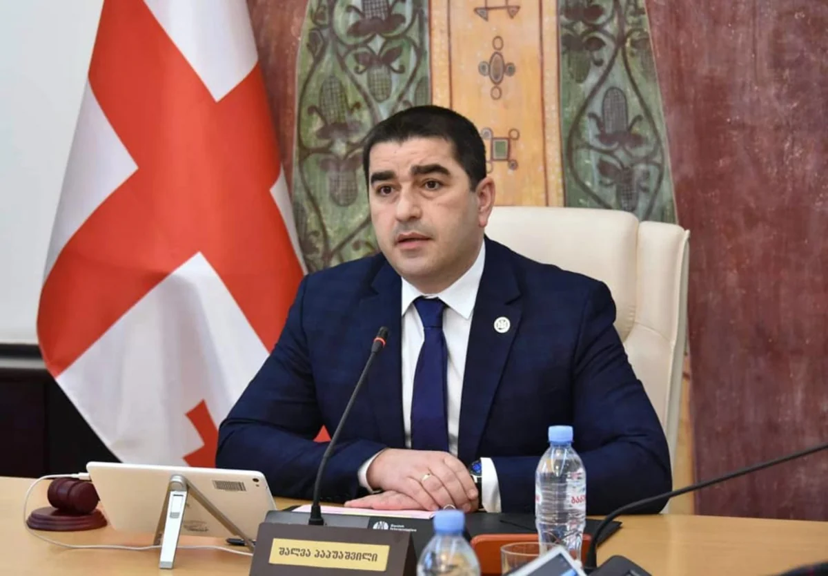 Спикер парламента Грузии отказался от посещения Бучи