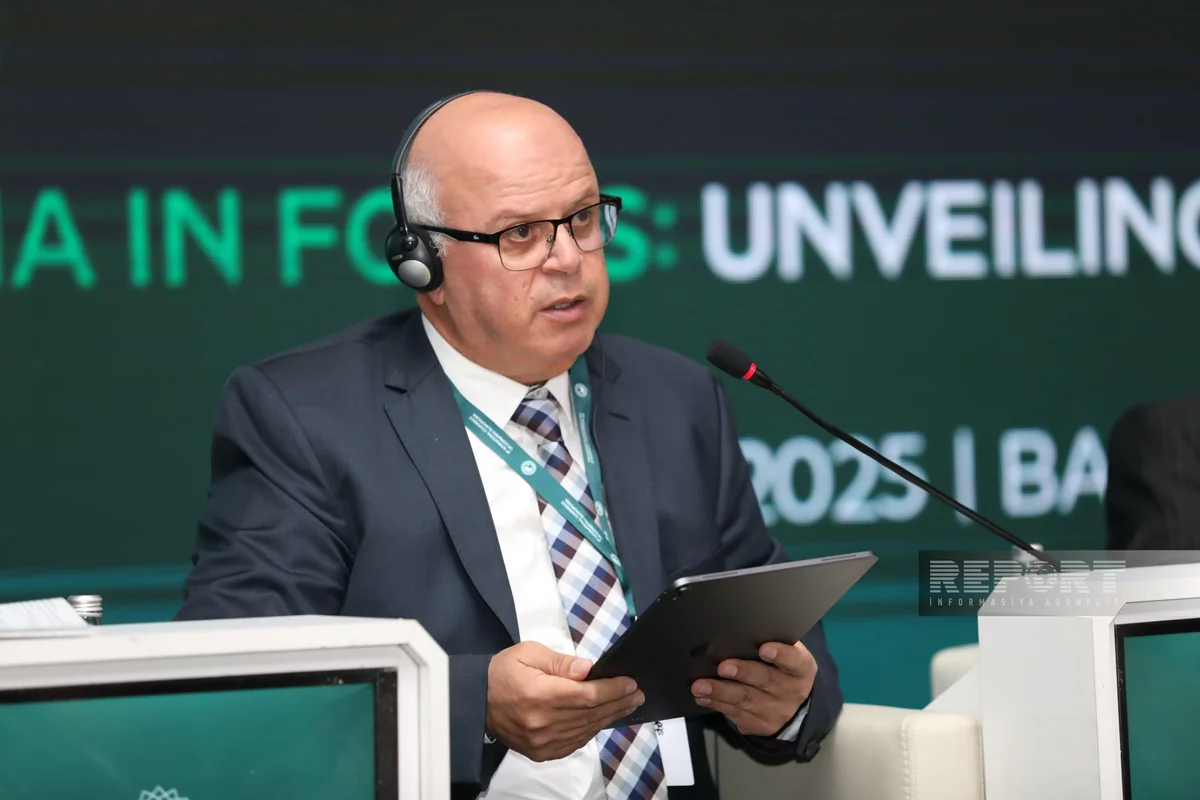 Səid Alla: İslamofobiya son illərdə Fransada narahatedici səviyyəyə çatıb