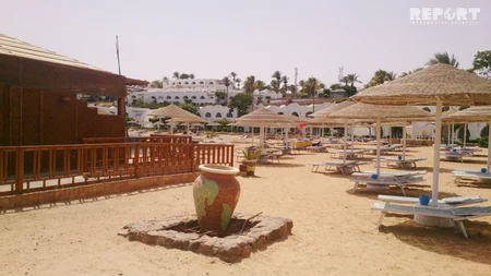 Qırmızı dəniz sahilindəki ecazkar və nadir gülləri ilə məşhur şəhərdən - REPORTAJ