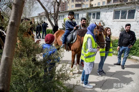 Atların müalicə etdiyi insanlar - REPORTAJ