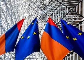 Mirzoyan: Ermənistan Aİ-yə daxil olmaq üçün danışıqlar aparmır