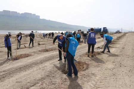 Bakı və Tərtərdə daha 1 225 ədəd müxtəlif cinsli ağac əkilib