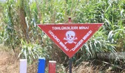 Ötən həftə 1600 hektardan çox ərazi minalardan təmizlənib