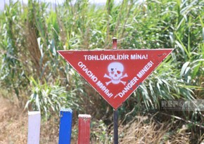 Ötən həftə 1600 hektardan çox ərazi minalardan təmizlənib