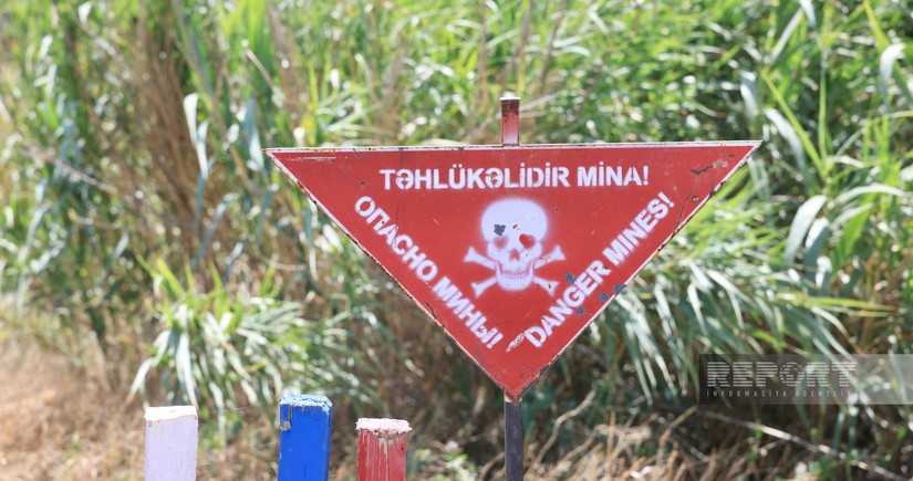 ANAMA: 15 anti-tank mines, 46 anti-personnel mines cleared in liberated areas