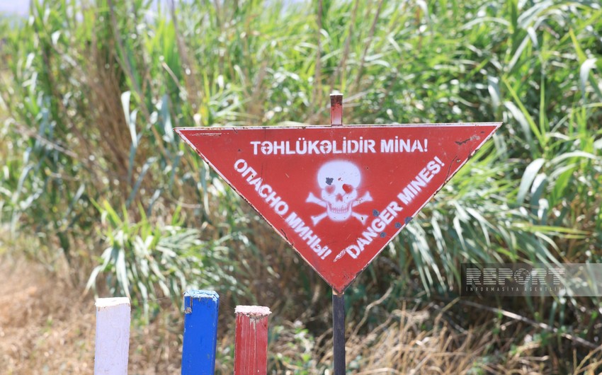 Ötən həftə 1504 ha ərazi minalardan təmizlənib