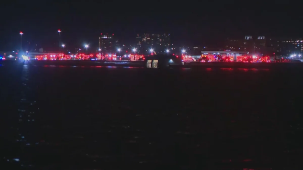 ABŞ-də təyyarə qəzası nəticəsində ölənlərin sayı 30-u keçib - YENİLƏNİB-3