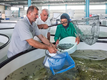 Lu-Mun Holding and SOCAR Trading unite to release 25,000 endangered endemic sturgeons into Caspian Sea