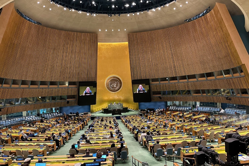 Azərbaycan BMT-də narkotiklərlə mübarizəyə dair qətnaməyə dəstək verib