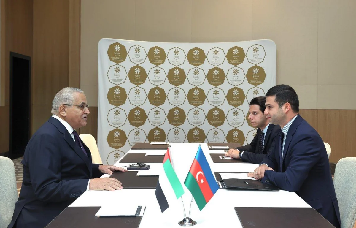 Azerbaijan, UAE mull expansion of business relations