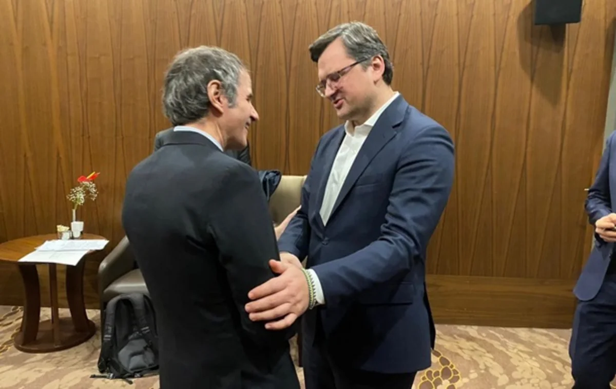 Глава МИД Украины встретился с директором МАГАТЭ