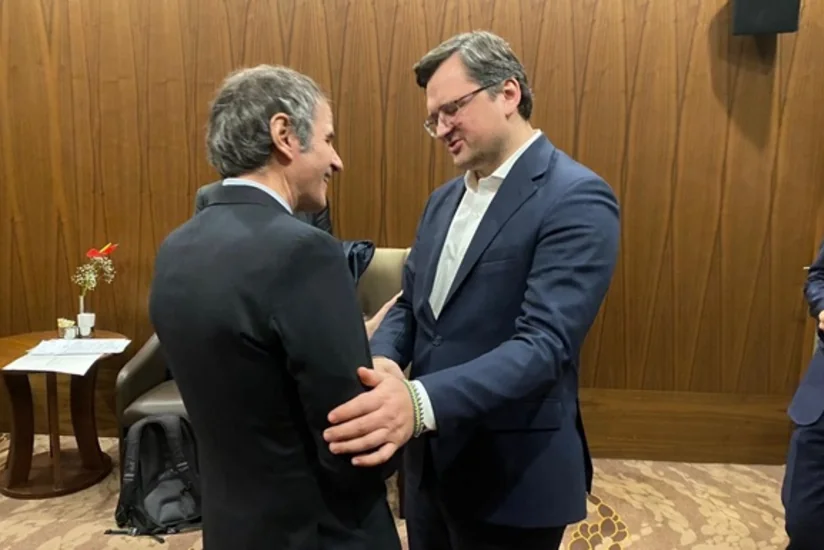 Глава МИД Украины встретился с директором МАГАТЭ