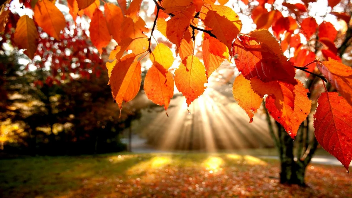 Weather forecast for tomorrow in Baku unveiled